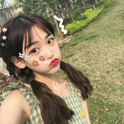 村长趣哪鹅